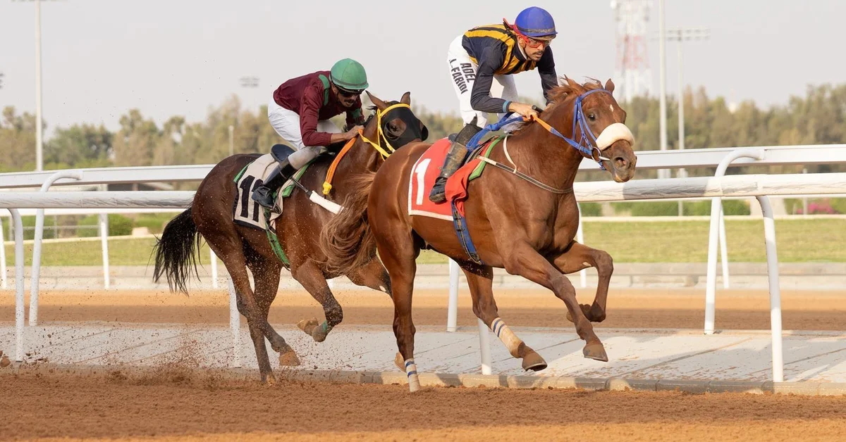 Taif Racing Season's Third Week Kicks Off with Key Races - Main Image