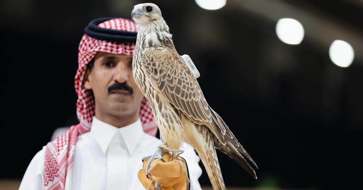 Two Falcons Sold for SAR180,000 at First Session of International Auction - Main Image