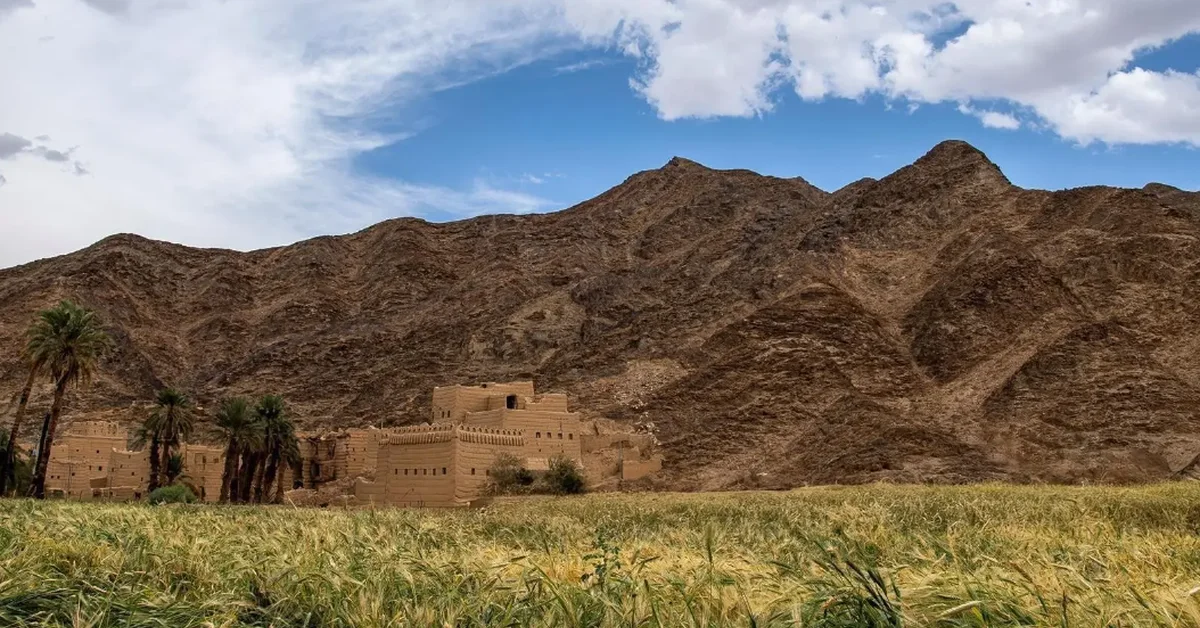 Fortified Castles and Ancient Mud Houses: Landmarks of Najran’s Rich Heritage - Main Image