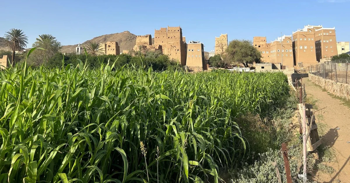 Aseer Farms: Unique Blend of Nature and Sustainable Tourism - Main Image