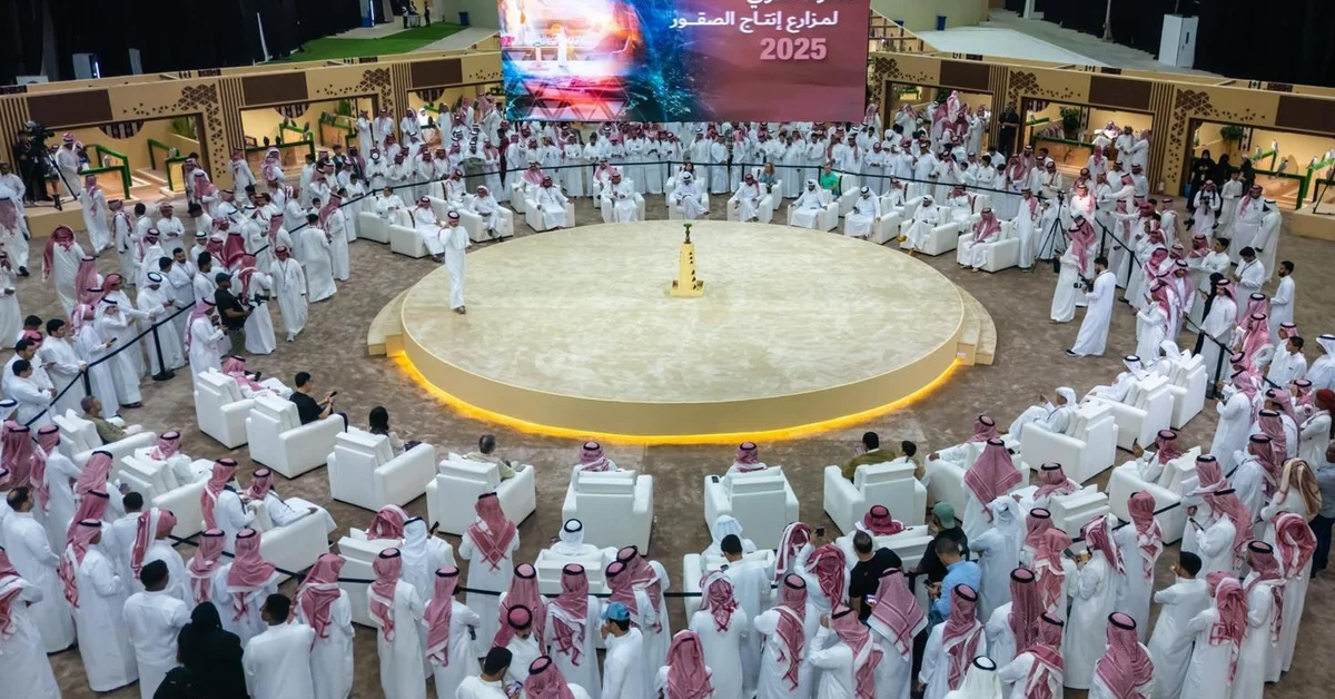 International Falcon Breeders Auction: Platform for Partnerships Between Producers and Falconers - Main Image