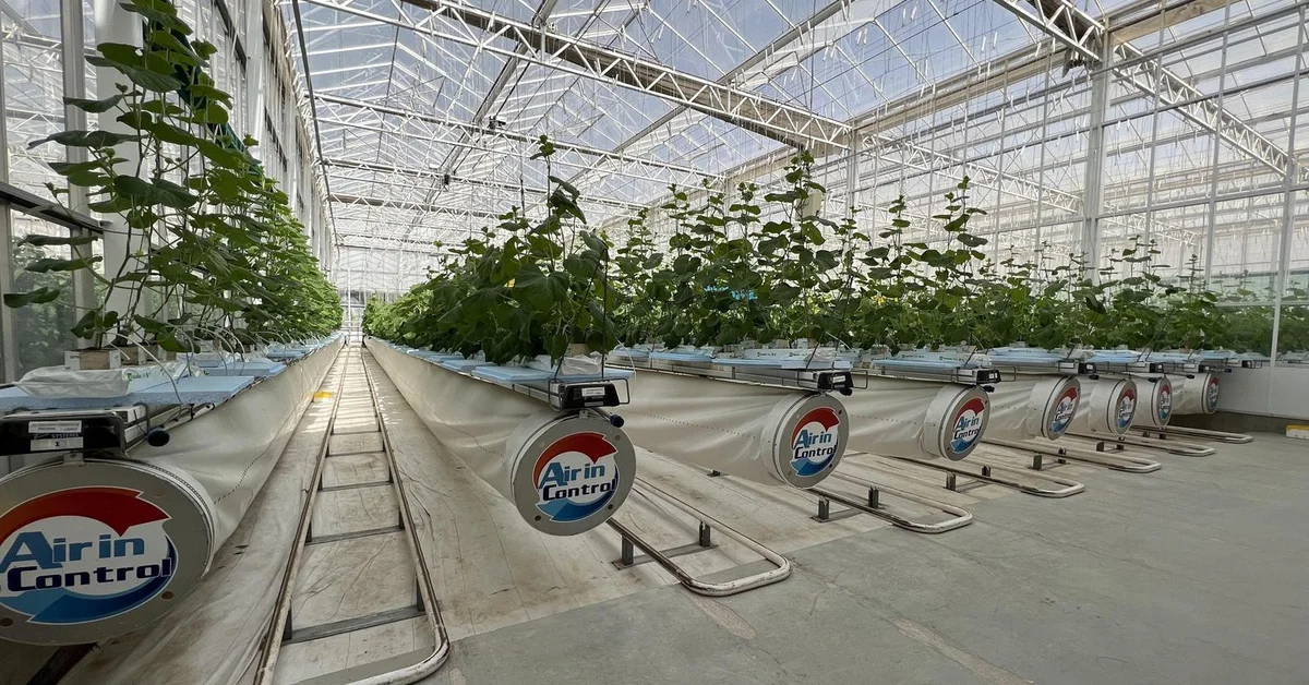 Estidamah Launches Second Greenhouse Management Training Program with NEOM's Topian - Main Image