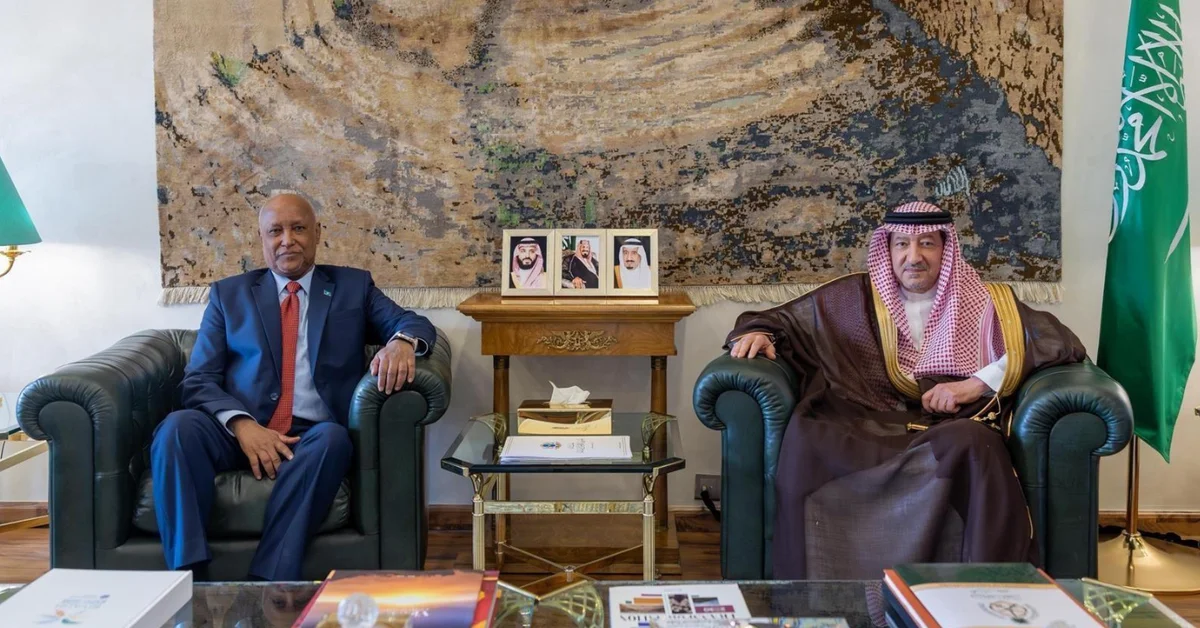 Vice Foreign Minister Meets Somalia’s Ambassador - Main Image