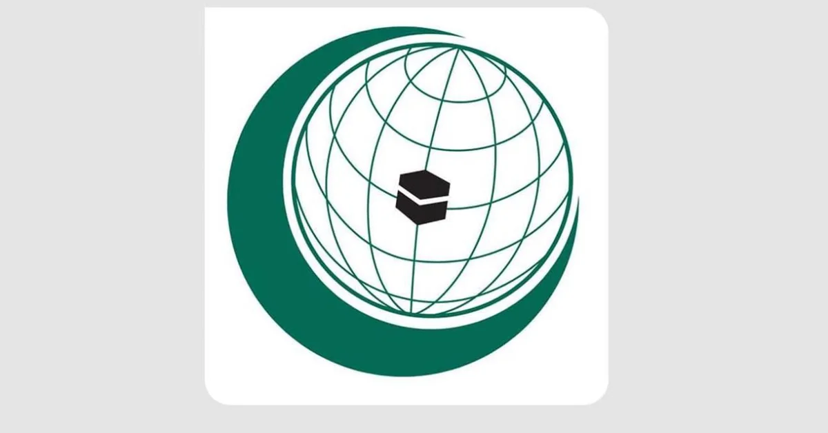 OIC Secretary-General Highlights Role of Youth in Achieving SDGs on International Youth Day - Main Image