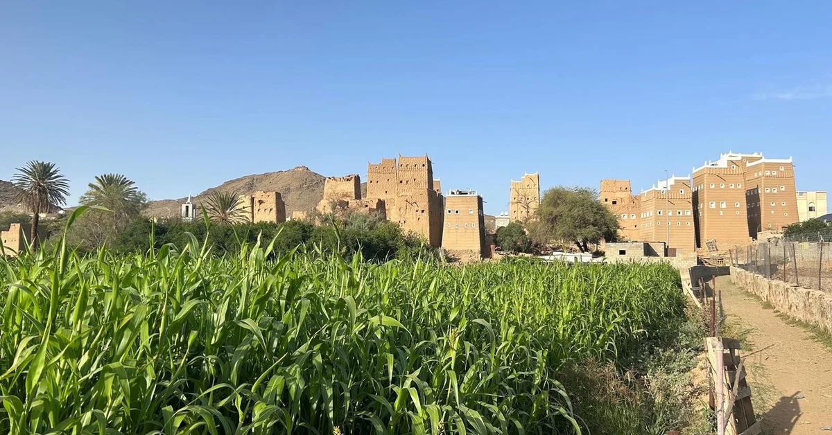Aseer Farms: Unique Blend of Nature and Sustainable Tourism - Main Image