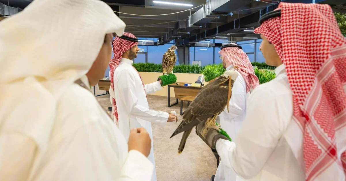 Health Inspections and Secure Procedures at the Forefront of 2025 International Falcon Breeders Auction - Main Image