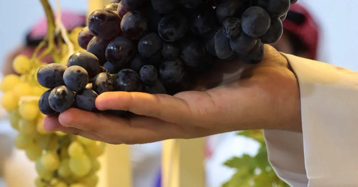 Madinah Region Celebrates Local Grape Harvest at Five-Day Festival - Main Image