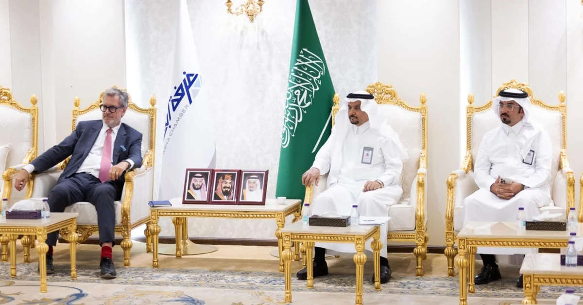 Saudi Arabia, Belgium Discuss Boosting Investments in Aseer - Main Image