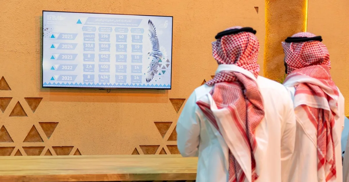 Statistical Screens Enhance Transparency at IFBA - Main Image