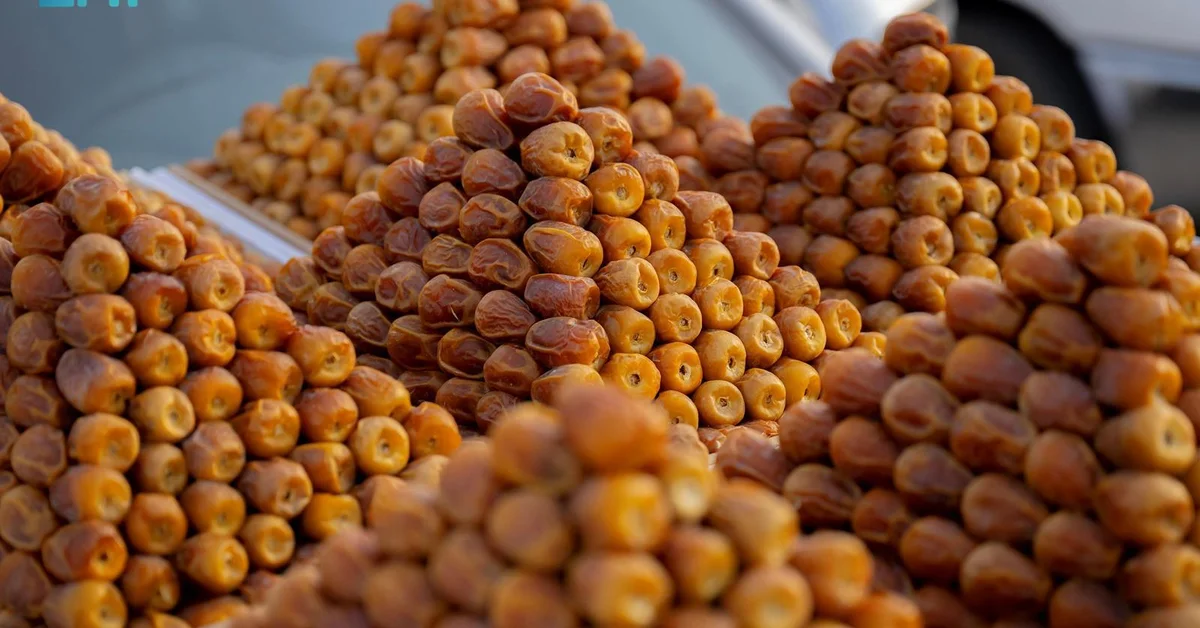 Date Trade Drives Economic Activity in Qassim Region - Main Image