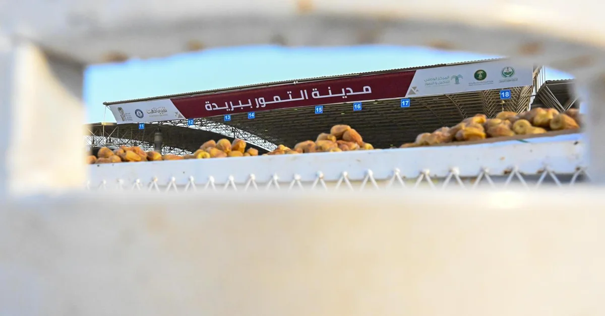 Dates Carnival Provides Transport, Shipping Across Saudi Arabia, Gulf Countries - Main Image