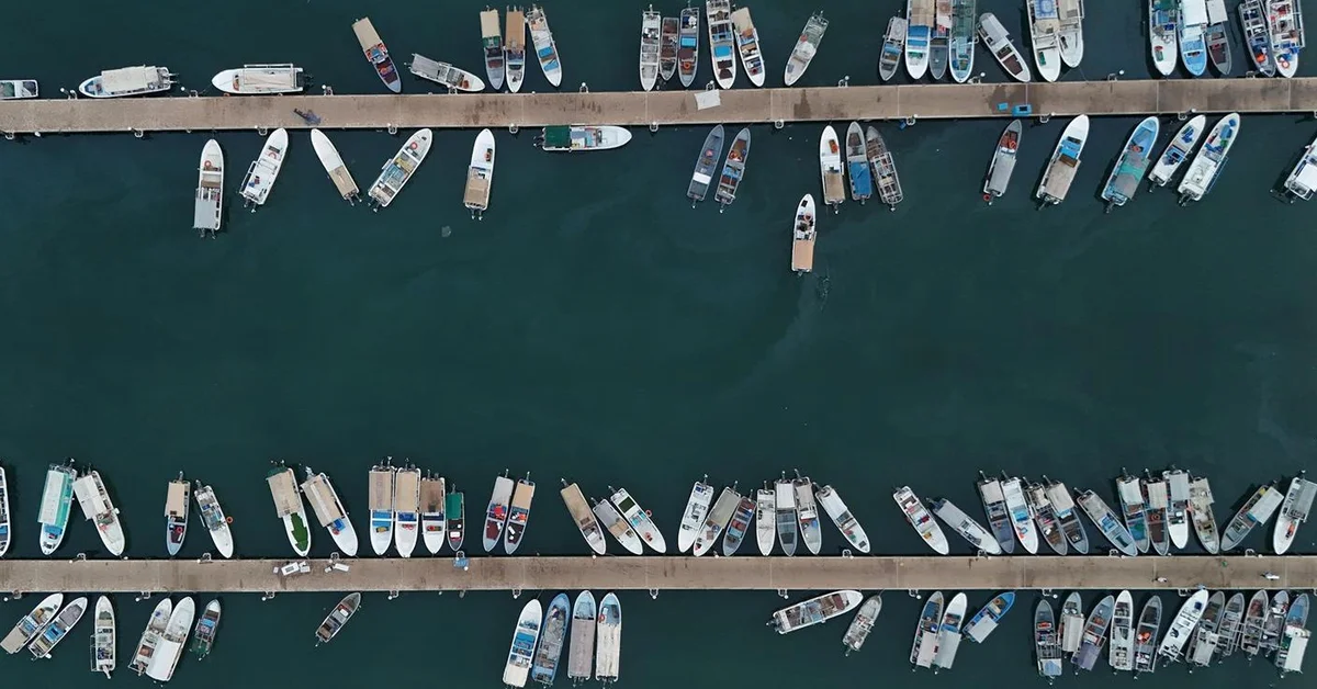 Abundant Marine Supply Fuels Commercial Growth at Jazan's Fishing Ports - Main Image
