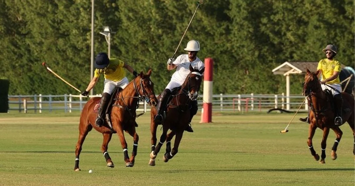 Saudi Equestrian Federation Announces 2025–2026 Season Calendar - Main Image