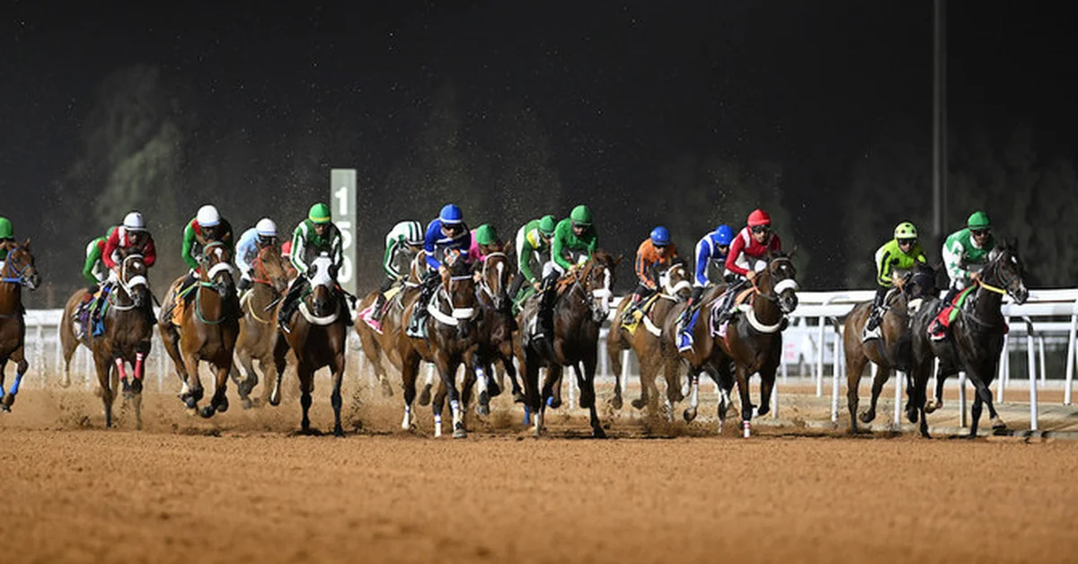 Purebred Arabians and Thoroughbreds Enliven Taif Season Races - Main Image