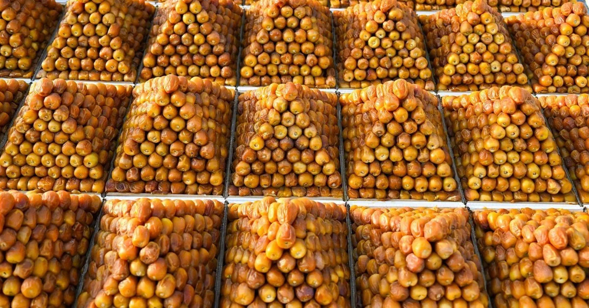 Peak Season Arrives at Buraidah Dates Carnival with Abundant Harvest - Main Image
