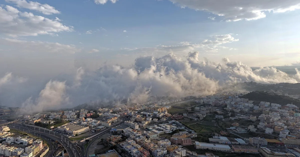 Autumn Weather: Fog and Rain Capture the Beauty of Nature in Aseer - Main Image