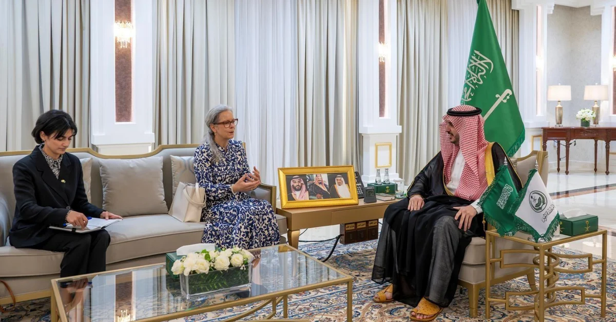 Al-Jouf Governor Receives Ambassador of Sweden to Saudi Arabia - Main Image