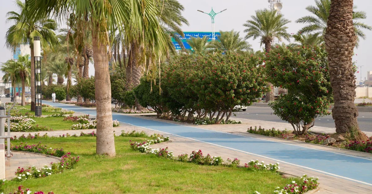 Sabya Governorate: A Promising Tourist Destination - Main Image