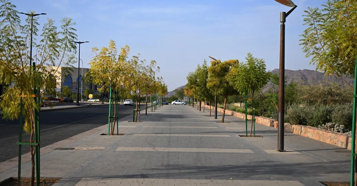 Sustainable Development Indicators Reflect Improved Quality of Life in Madinah - Main Image