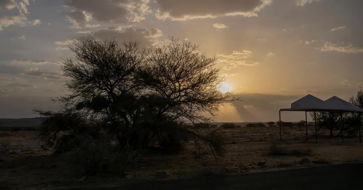 Prince Mishal bin Saud Park: A Blend of Nature and Entertainment in Najran - Main Image