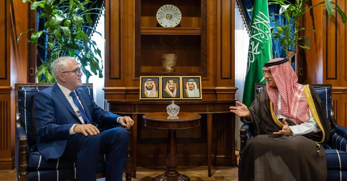 Minister of State for Foreign Affairs Receives Chilean Ambassador to Saudi Arabia - Main Image