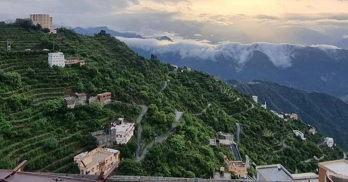 Jazan Region Transforms into Vibrant Green Oasis After Recent Rains - Main Image