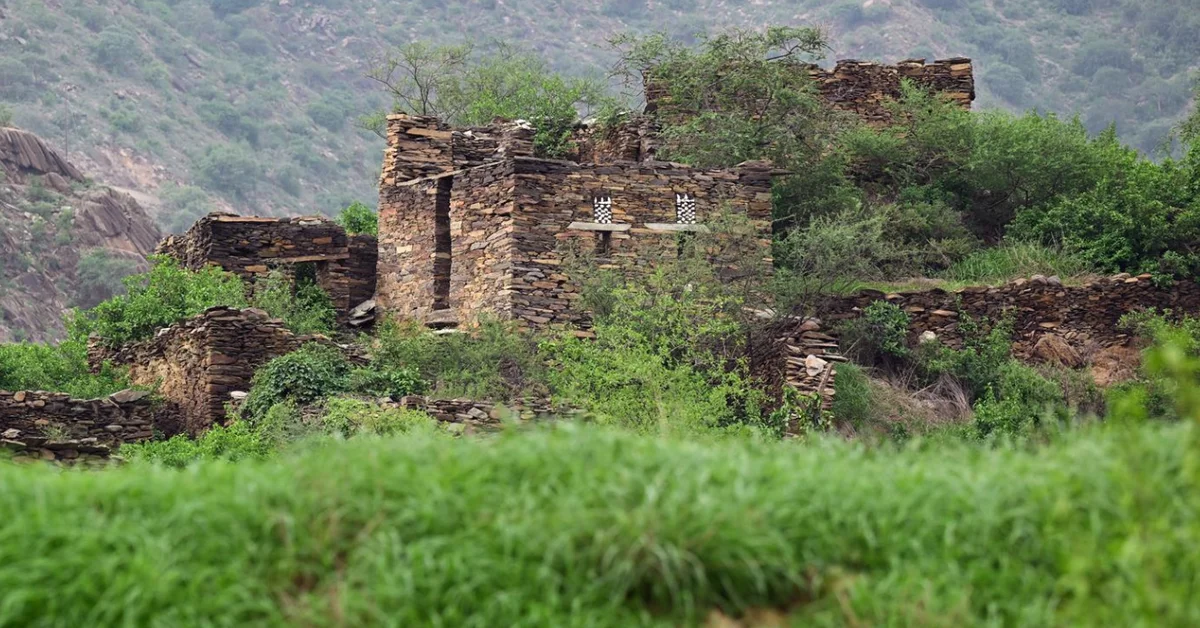 Aseer Blossoms in Green as Autumn Unfolds, Enhances Global Tourism, Investment Presence - Main Image
