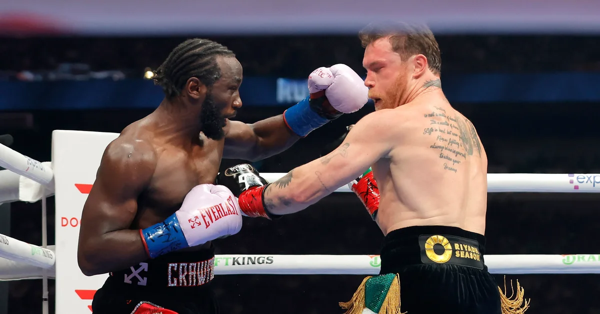 'Fight of the Century' on Netflix Draws 41 Million Viewers Worldwide - Main Image