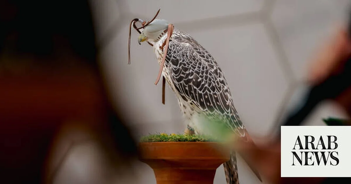 Saudi Pavilion at Expo Osaka Highlights Falconry Heritage - Main Image