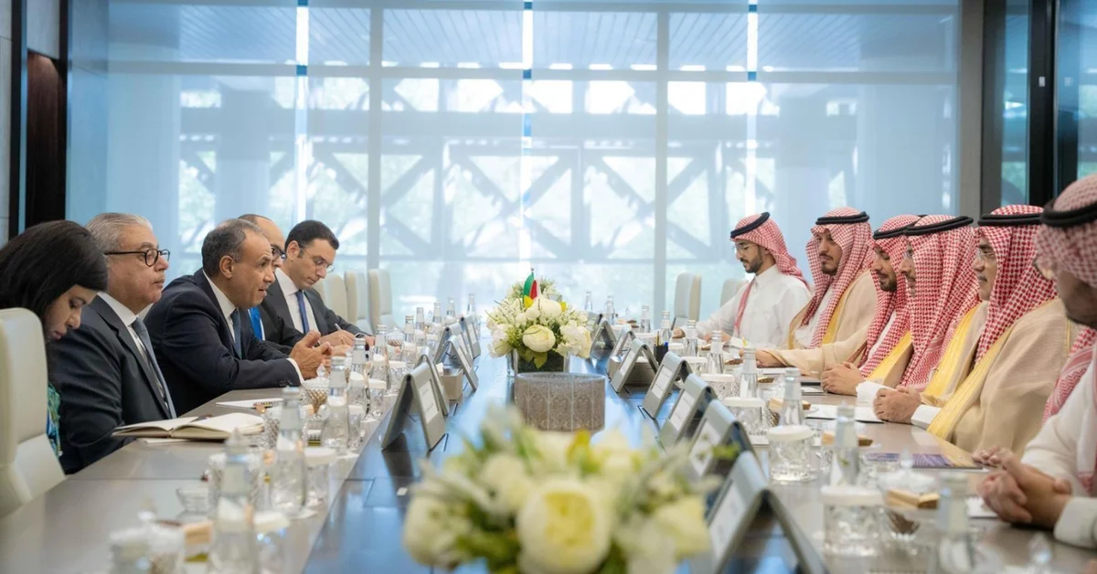 Industry Minister Meets with Egyptian Foreign Minister - Main Image