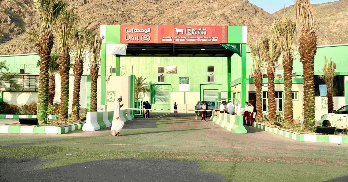 Saudi Arabia's Adahi Project Achieves Unprecedented Success in Hajj 1446 AH - Main Image
