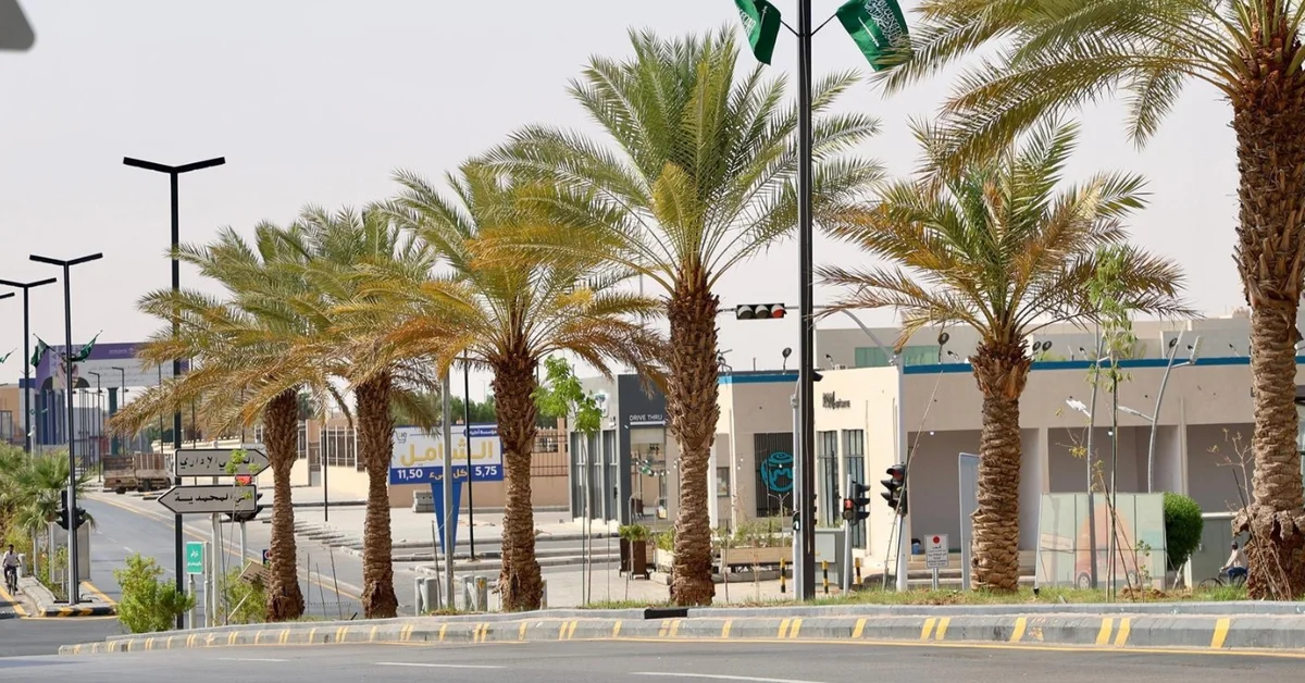 Rafha Prepares National Day Celebrations - Main Image
