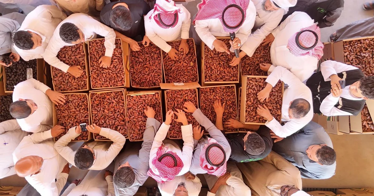 AlUla Dates Gain Global Recognition as Premium Saudi Product - Main Image