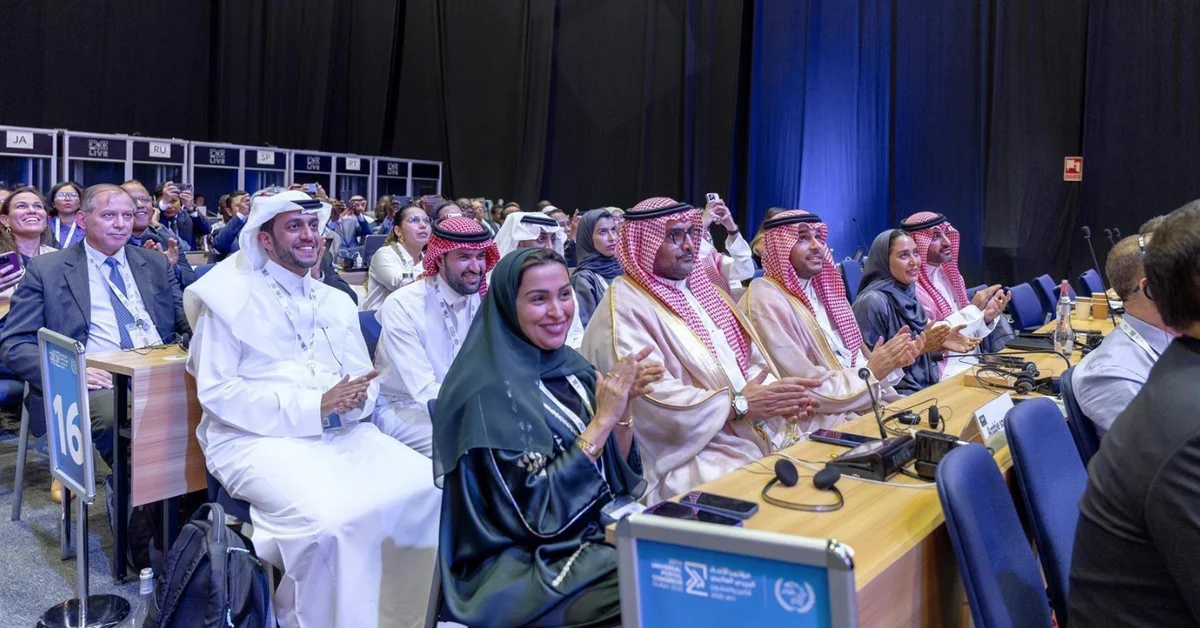 Saudi Arabia Secures Two Seats on Universal Postal Union Councils - Main Image