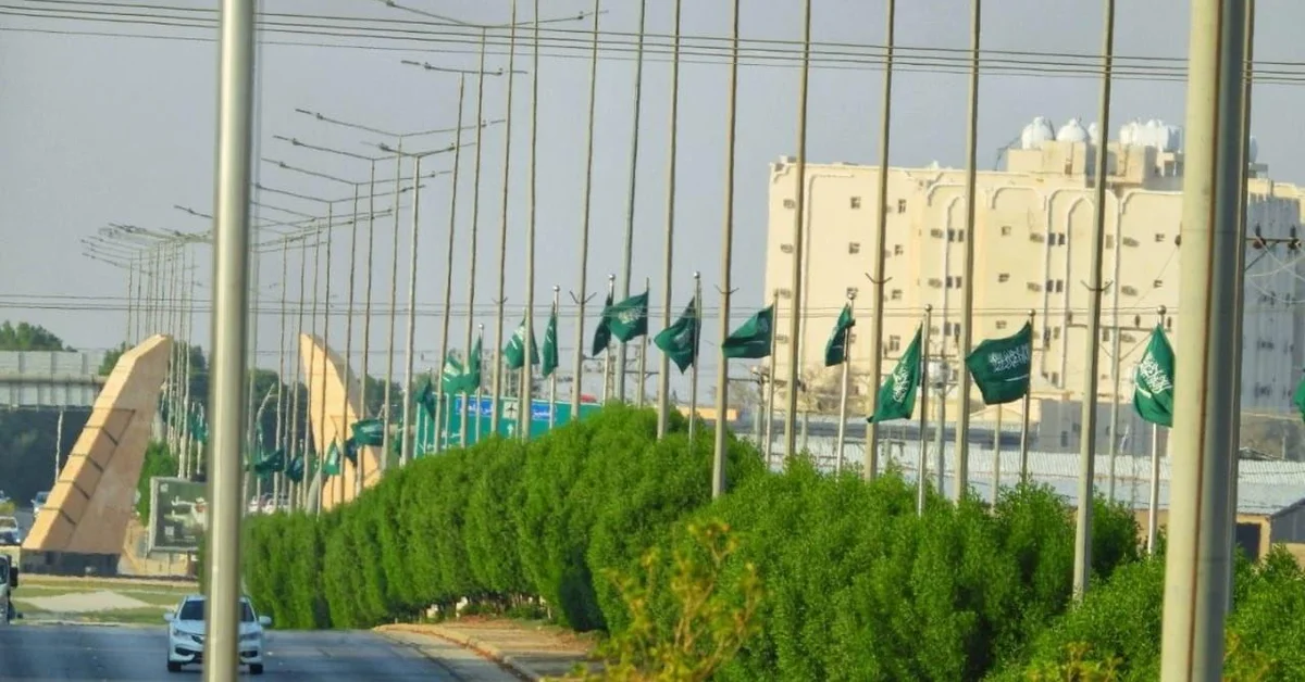 National Flags and Lights Adorn Qassim for National Day - Main Image