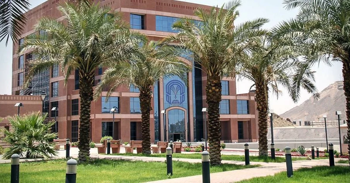 Taibah and Nouakchott Universities Discuss Academic Cooperation Opportunities - Main Image