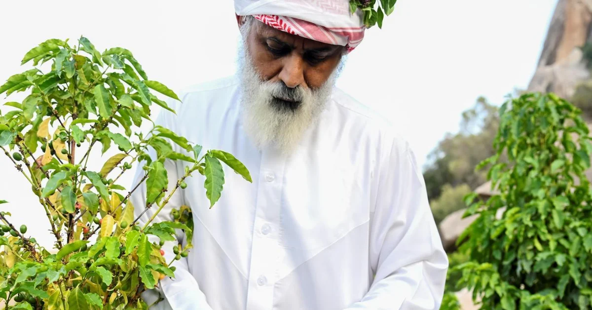 Saudi Arabia Celebrates International Coffee Day: A Cultural and Social Convergence - Main Image