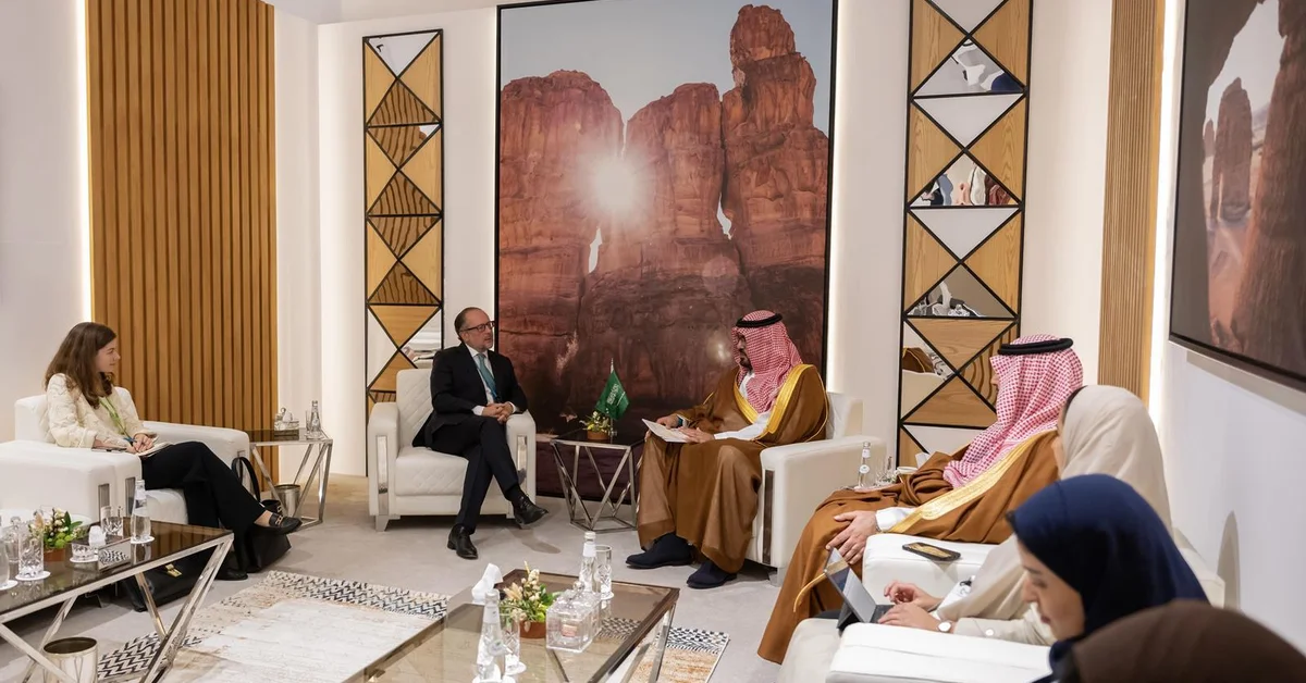 Economy Minister, Austria Former Foreign Minister Discuss Latest Global Economic Developments - Main Image