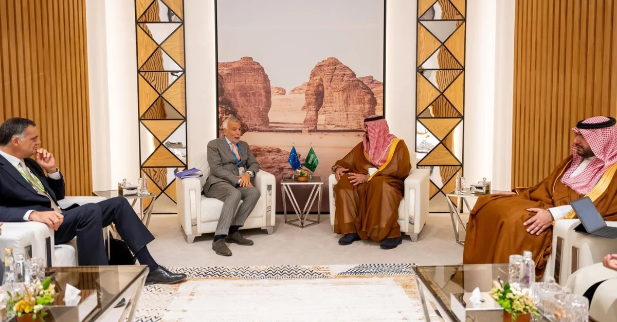 Economy Minister Meets European Commission Director for Mideast, North Africa, Gulf - Main Image
