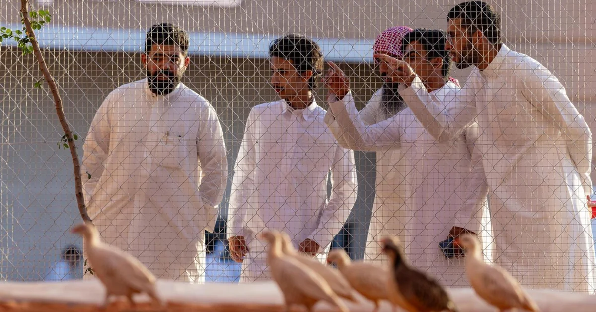 Saudi Falcons and Hunting Exhibition Introduces Safari Zone to Showcase Endangered Animals - Main Image