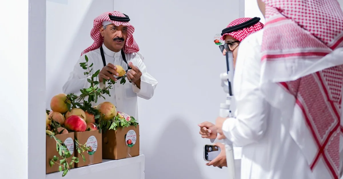 Online Stores Boost Sales, Reach of Al-Baha Pomegranates - Main Image