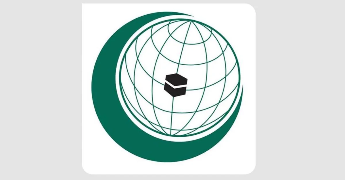 OIC Expresses Condolences to Qatar Over Sharm El-Sheikh Victims - Main Image