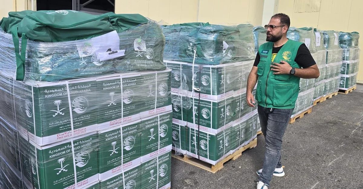 68th Saudi Relief Plane for Palestinian People in Gaza Arrives at El Arish Airport - Main Image