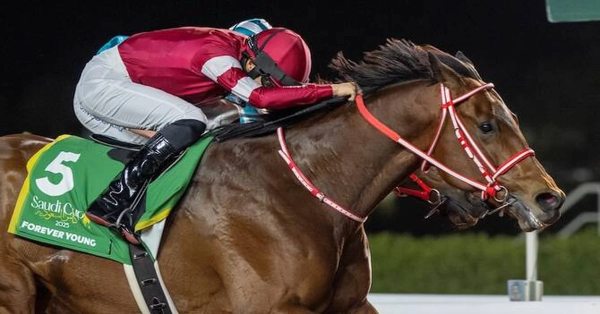 First Week of 2025-2026 Horse Racing Season Concludes in Riyadh - Main Image