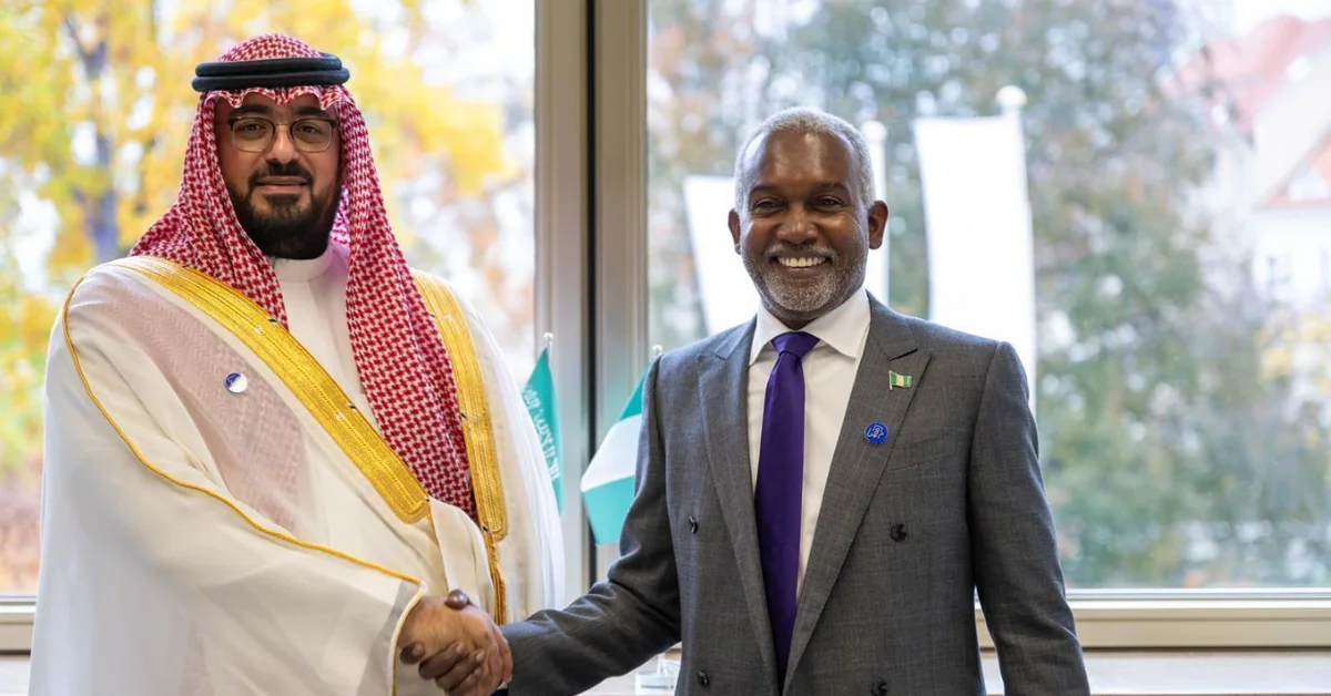 Economy Minister Meets Nigerian Foreign Minister - Main Image
