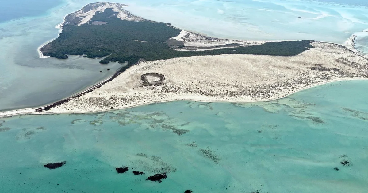 Aseer’s Coastline: A Hub for Ecotourism and Marine Beauty on the Red Sea - Main Image
