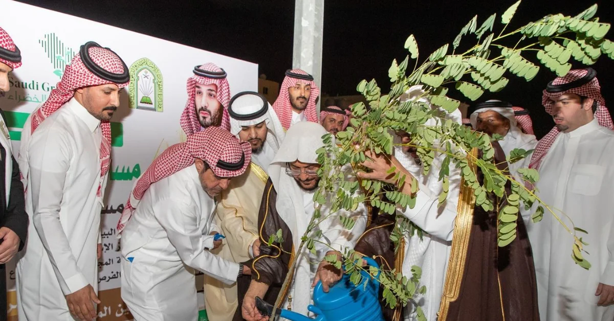 100,000 Seedlings Set to Transform Courtyards of Hail Mosques - Main Image