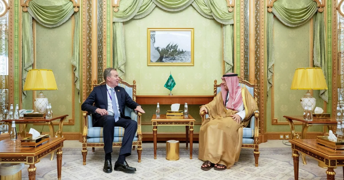 Minister of State for Foreign Affairs Meets World Economic Forum President - Main Image