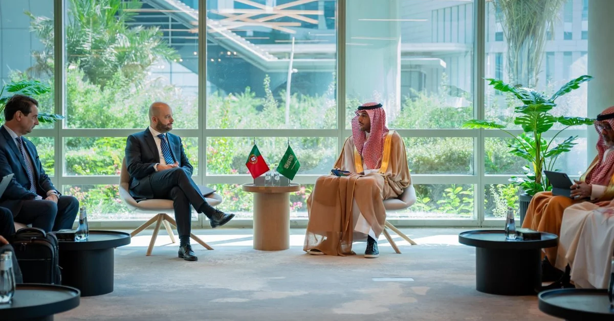 Vice Minister of Economy Meets with Portugal's Secretary of State for Energy - Main Image